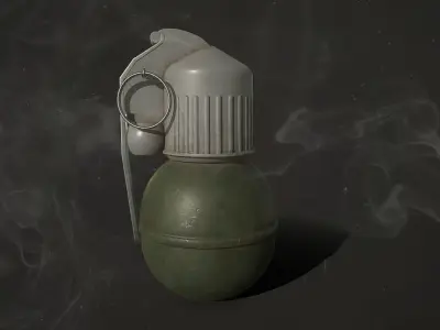 Grenade RGO and RGN Low-poly 3D model