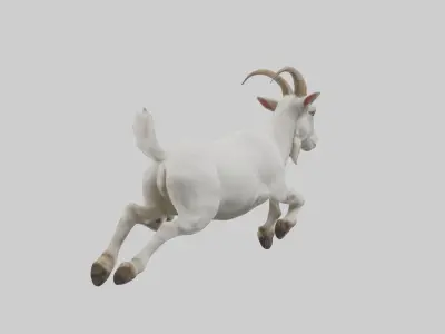 Goat hopping model Low-poly 3D model