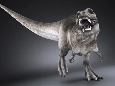 Tyranosaurus Rex 3D model