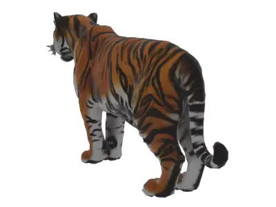 Tiger Low-poly 3D model