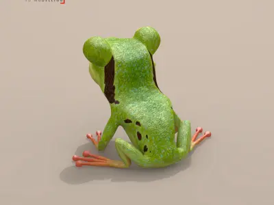 Frog cartoon character 3D model