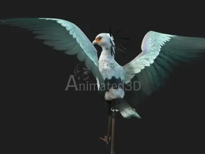 SecretaryBird A2 3D model
