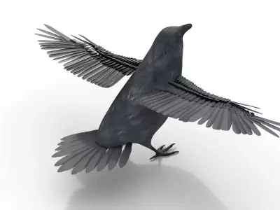 Raven Bird Rigged 3d model Free 3D model