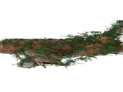 Damaged Rusted Airplane 3D model