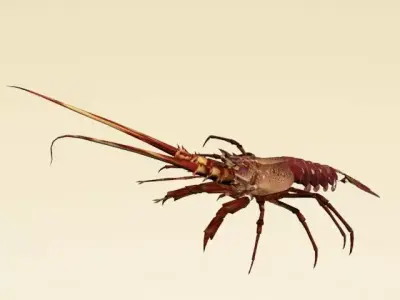 Lobster Low Ploy 3D model