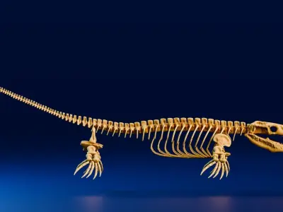 Realistic Ancient Reptilians Fossil - Mosasaurus Low-poly 3D model
