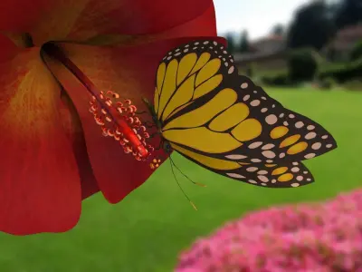 Butterfly With Flower 3d Model  3D model