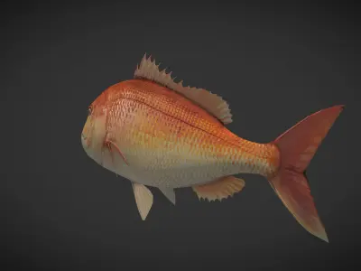 Carp 01 Low-poly 3D model
