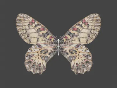 BFLY-002 Butterfly Low-poly 3D model