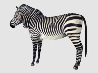 animals Low-poly 3D model