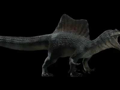 Spinosaurus Dinosaur Low-poly 3D model