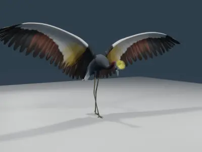 Crowned cranes 3d model 3D model