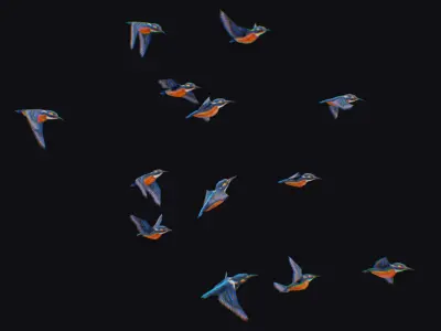 Kingfisher Flock Animated Bird Swarm Hummingbird Shoal Birds Low-poly 3D model