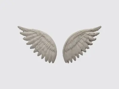 A pair of large detailed angel wings 3D model