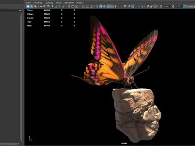 Butterfly on rock 3D model