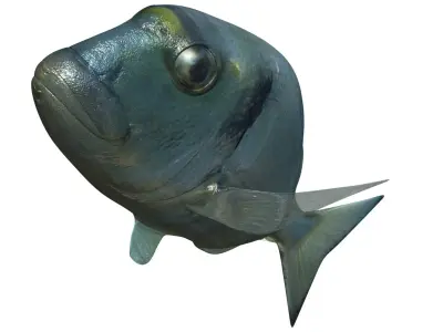 Sea Bream Fish Rigged with Underwater Scene Low-poly 3D model