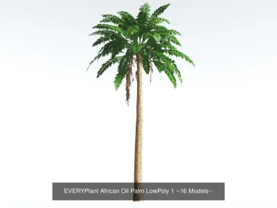 EVERYPlant African Oil Palm LowPoly Bundle --64 Models-- 3D Model Collection