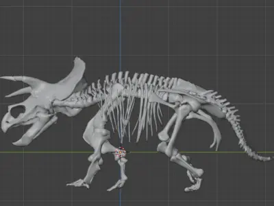 Animated Triceratops Skeleton 3D Model Low-poly 3D model