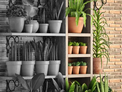 collection of plants in clay pots PART 2 3D model