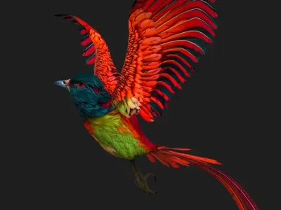 PheasantBird B5 3D model