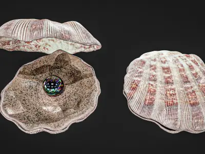 Sea Shell With Pearl Low-poly 3D model