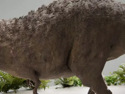 Tyrannosaurus Feathered Low-poly 3D model