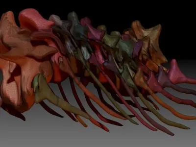 TRex Neck Set Skeletons 3D model