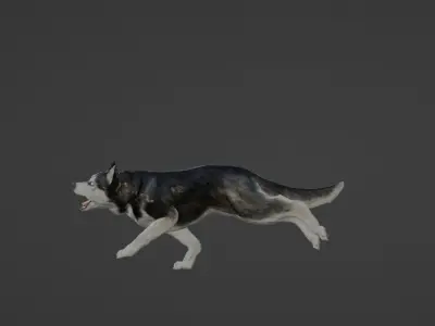 Wolf 3D dog running Low-poly 3D model