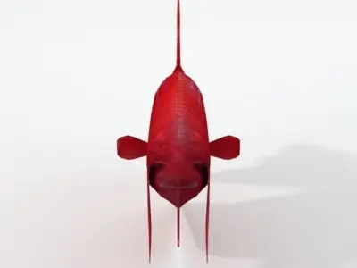 Fish Betta Low-poly 3D model