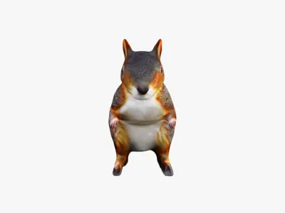 Squirrel Free 3D model