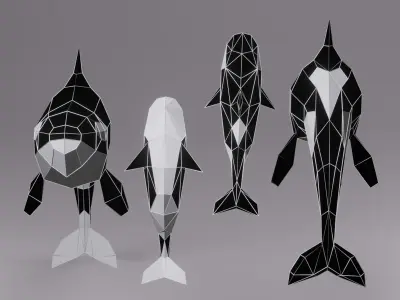 Orca Whale Low Poly Model Low-poly 3D model