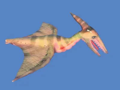 pteranodon dinosaur 3D model