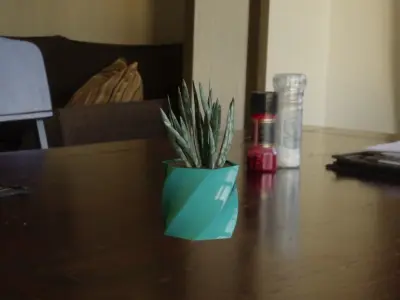 Twist pot flower plant 3D print model