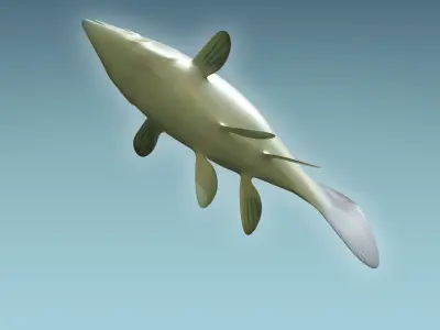 Molly fish 3D model
