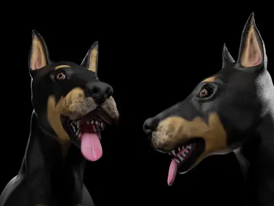 Doberman Dog Realistic Model Low-poly 3D model