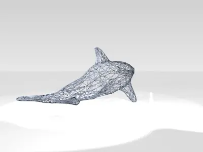 Dolphin Wireframe 3D model