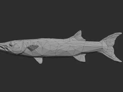 Low Poly Pacific Barracuda Low-poly 3D model