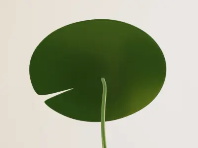 Lotus Leaf 3D model