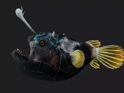 Monkfish Low-poly 3D model