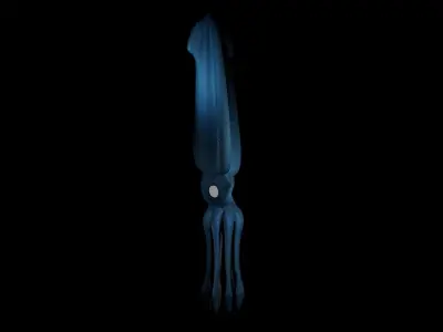 Giant Squid Low-poly 3D model get