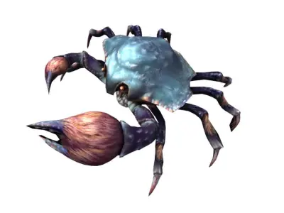 Rigged Crab 3D model