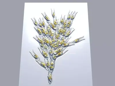 Golden Algae 3D model
