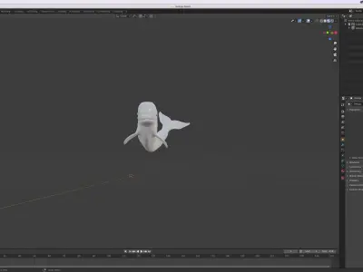 Beluga Whale Free 3D model