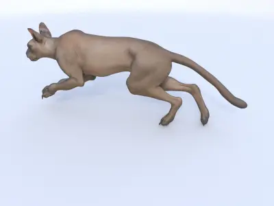 Fossa 3D model