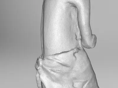 Nigerian figurine statue 3D print model