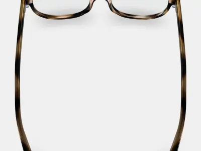 Ira Eyeglasses in Striped Sassafras 3D model