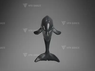 Bottlenose Dolphins Young Animation - VFX Grace 3D model