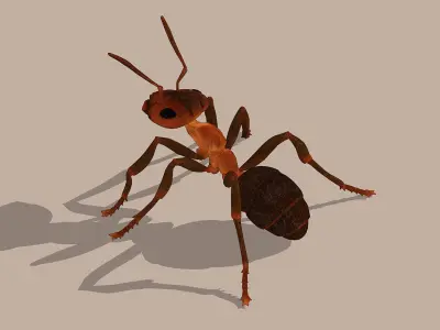Normal Ant Low-poly 3D model