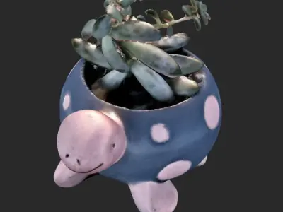 Succulent Turtle Pot Plant 3D model