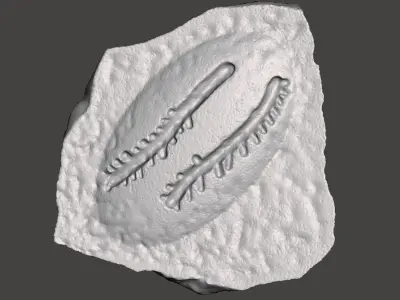 Bug Trail Fossils Free 3D print model